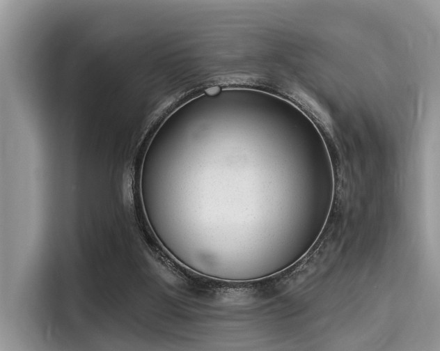 X0000115290107200911091000