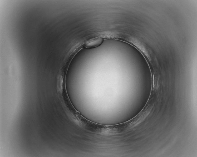 X0000115290109200911091000