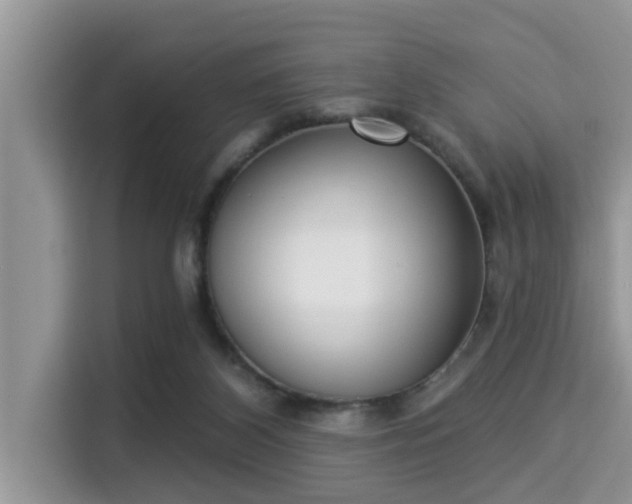 X0000115290116200911091000