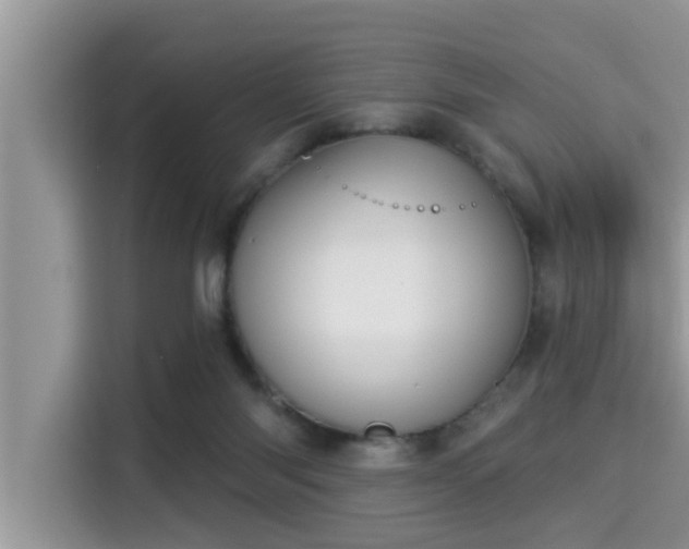 X0000115290118200911091000
