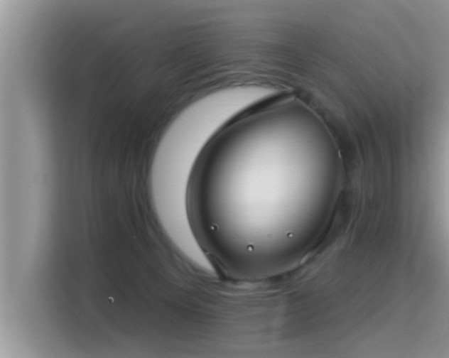 X0000115290129200911091000