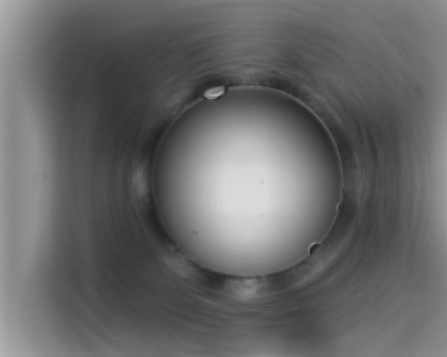 X0000115290131200911091000