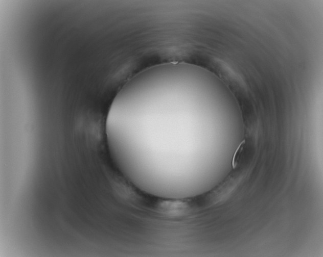 X0000115290133200911091000