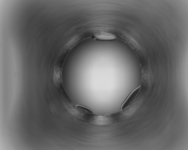 X0000115290141200911090959