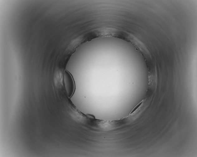 X0000115290142200911090959