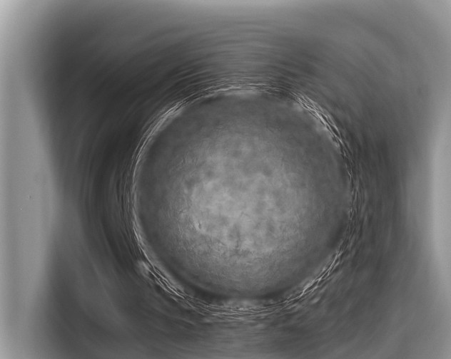 X0000115290145200911090959