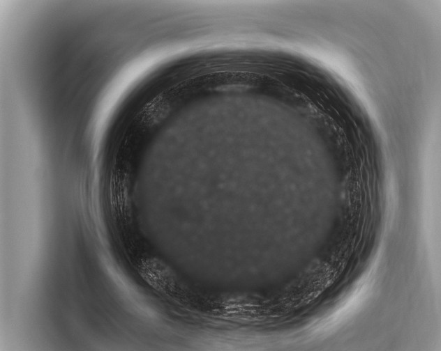 X0000115290146200911090959