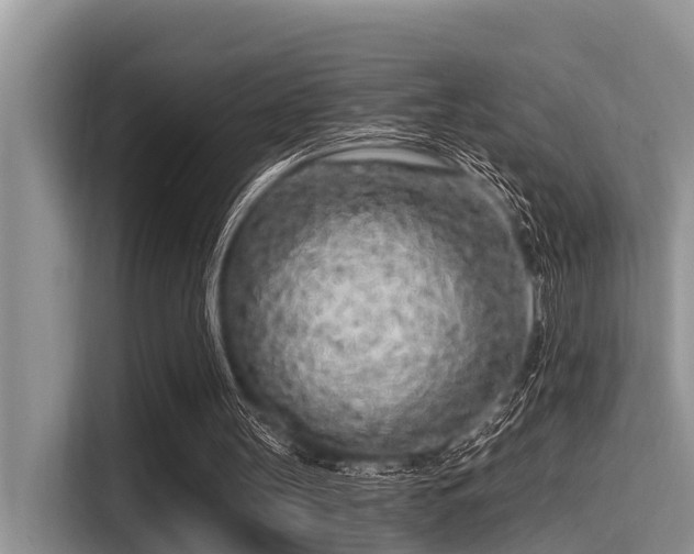 X0000115290147200911090959