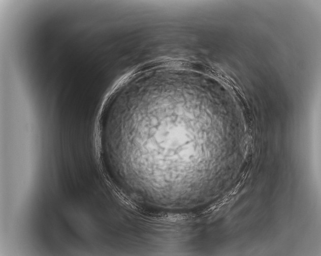 X0000115290149200911090959