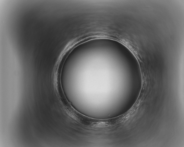X0000115290151200911090959