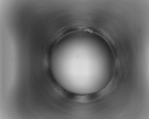 X0000115290170200911090959
