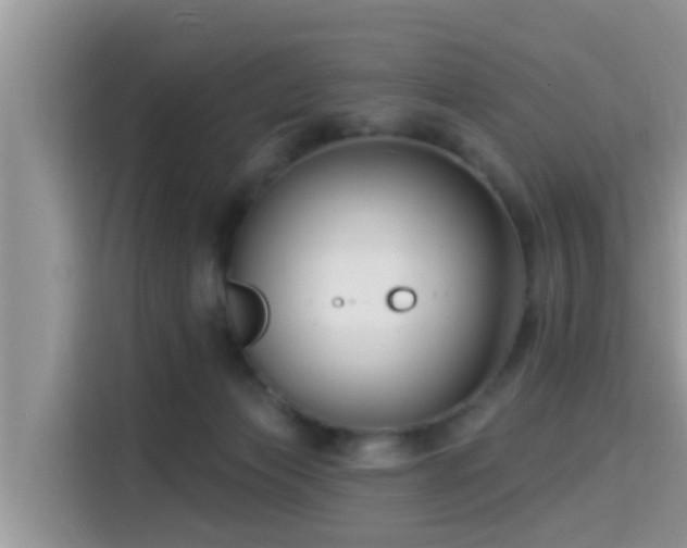 X0000115290173200911090959