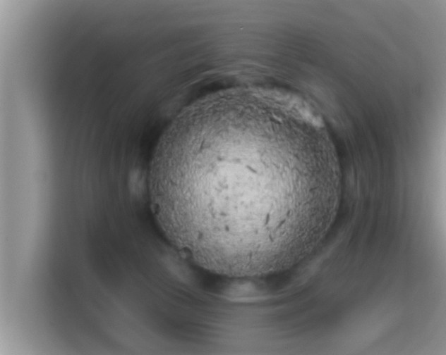 X0000115290177200911090959