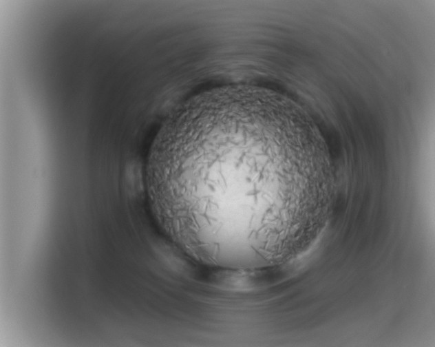 X0000115290182200911090959