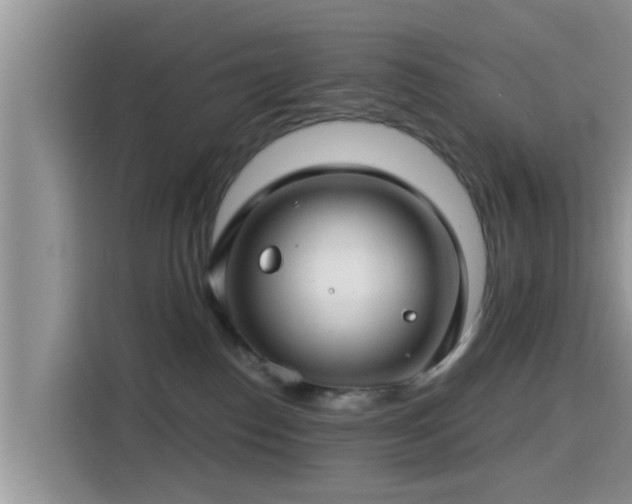X0000115290186200911090959
