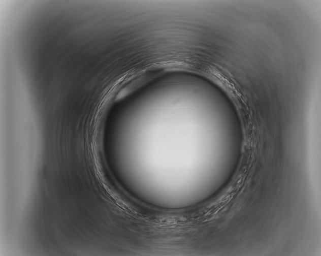 X0000115290193200911090959