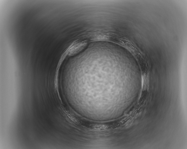 X0000115290195200911090959