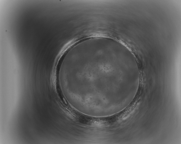 X0000115290199200911090959