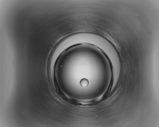 X0000115290203200911090959