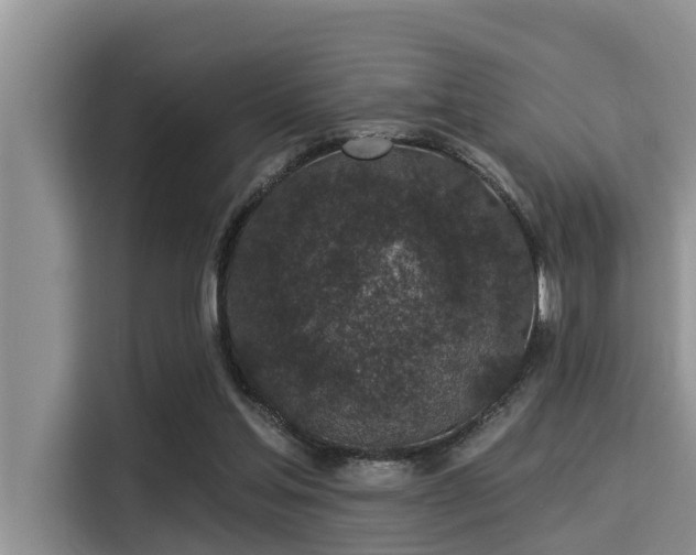 X0000115290205200911090959