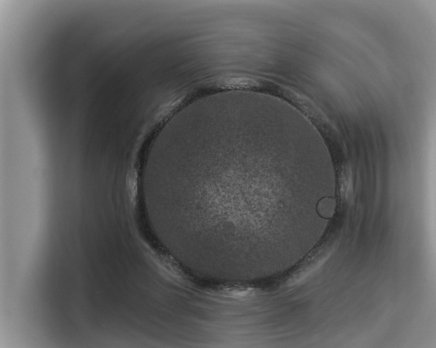 X0000115290206200911090959