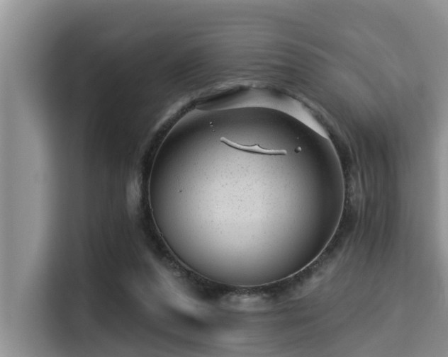 X0000115290208200911090959