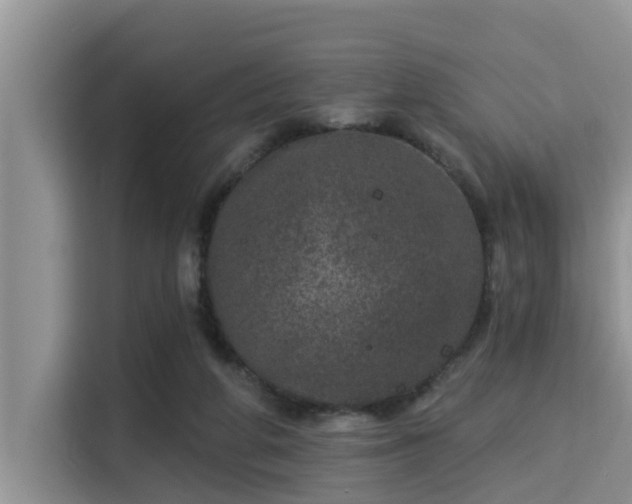 X0000115290210200911090959