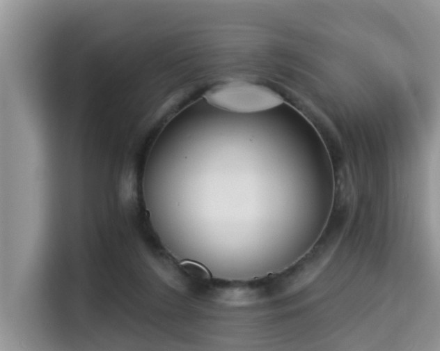 X0000115290212200911090958