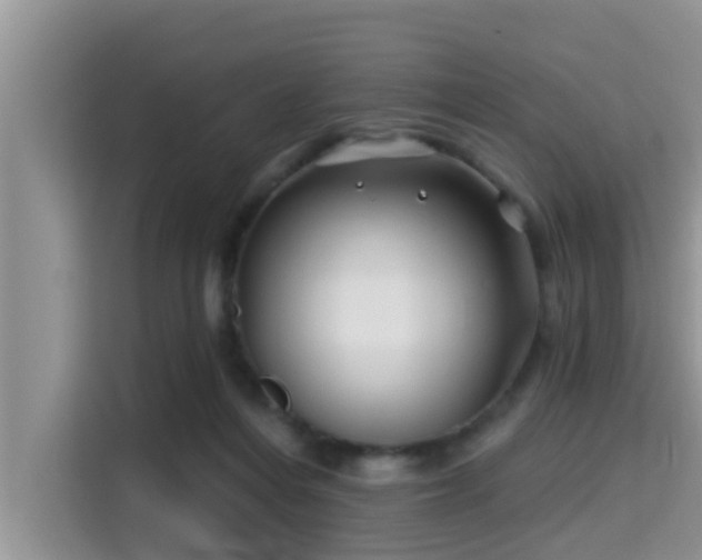 X0000115290216200911090958