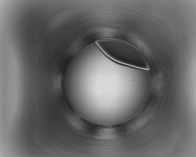 X0000115290217200911090958