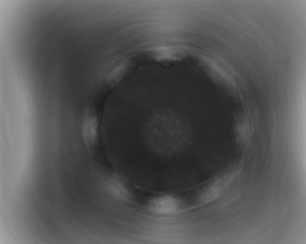 X0000115290219200911090958