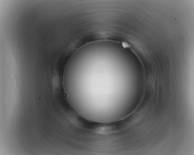 X0000115290220200911090958