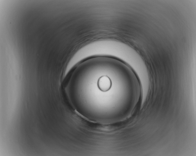 X0000115290221200911090958