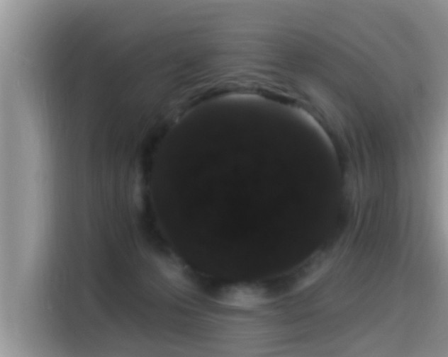X0000115290223200911090958