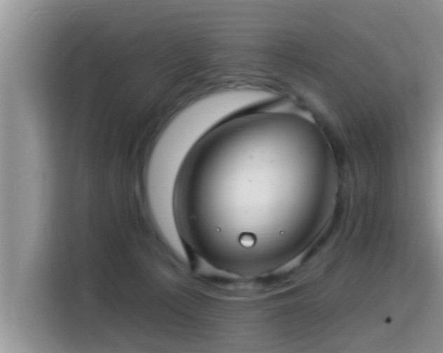 X0000115290225200911090958