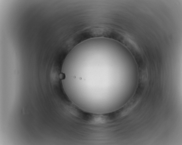 X0000115290226200911090958