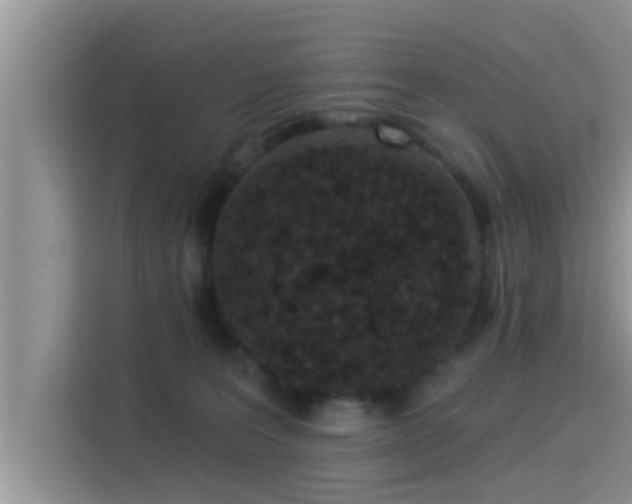 X0000115290227200911090958