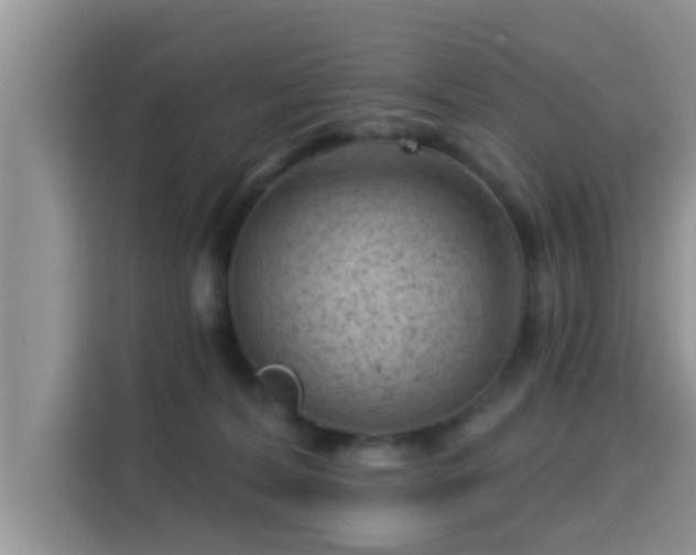 X0000115290228200911090958