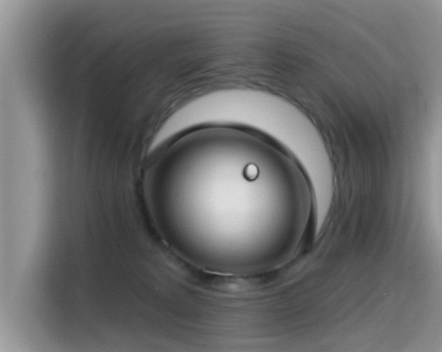 X0000115290229200911090958