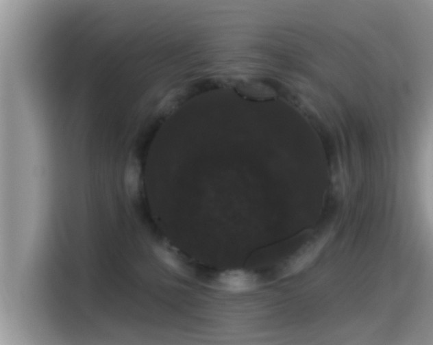X0000115290231200911090958