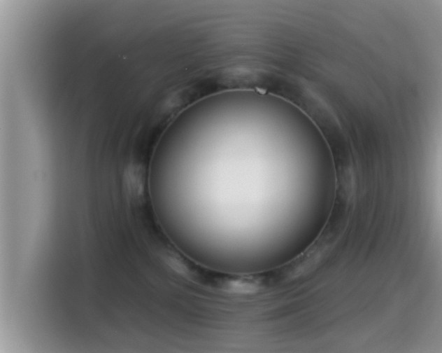 X0000115290232200911090958
