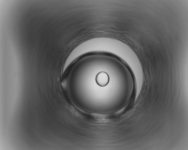 X0000115290233200911090958