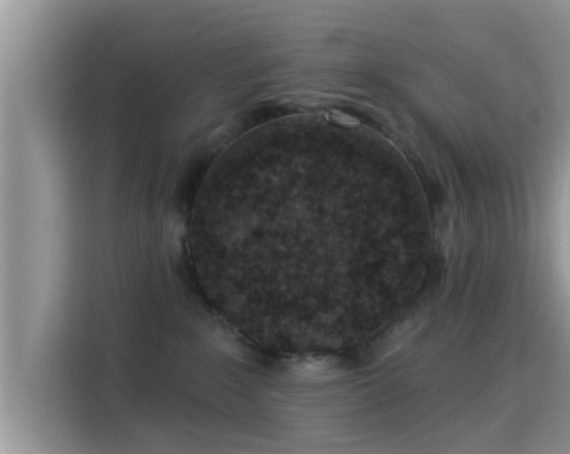 X0000115290235200911090958