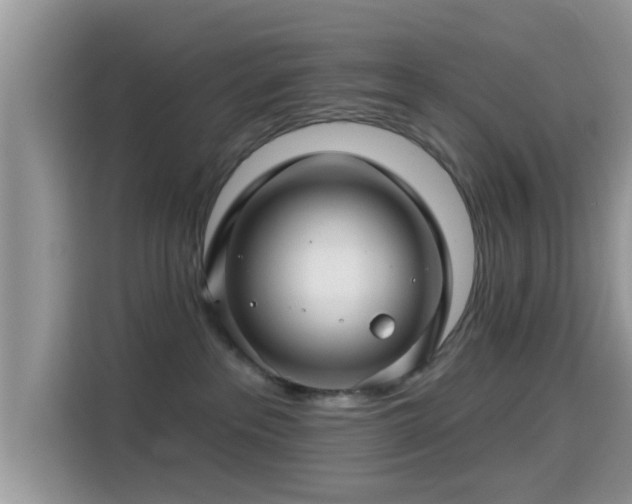 X0000115290237200911090958