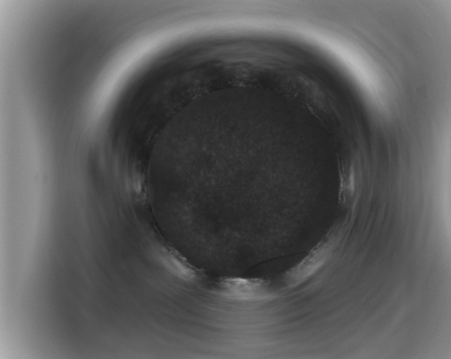 X0000115290239200911090958