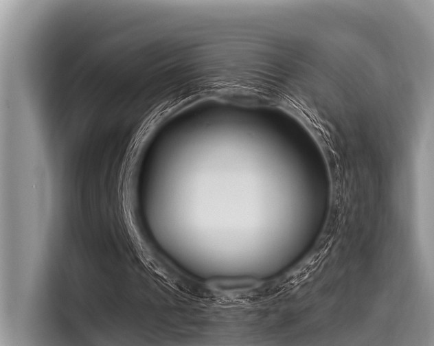 X0000115290241200911090957