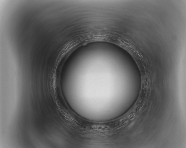 X0000115290242200911090958