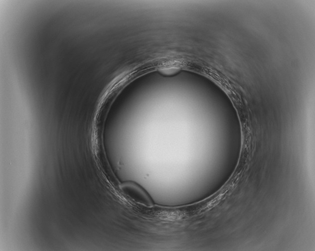X0000115290245200911090958