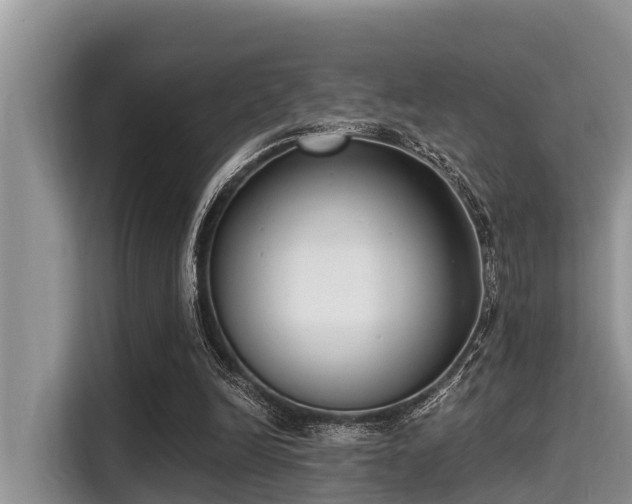 X0000115290246200911090958