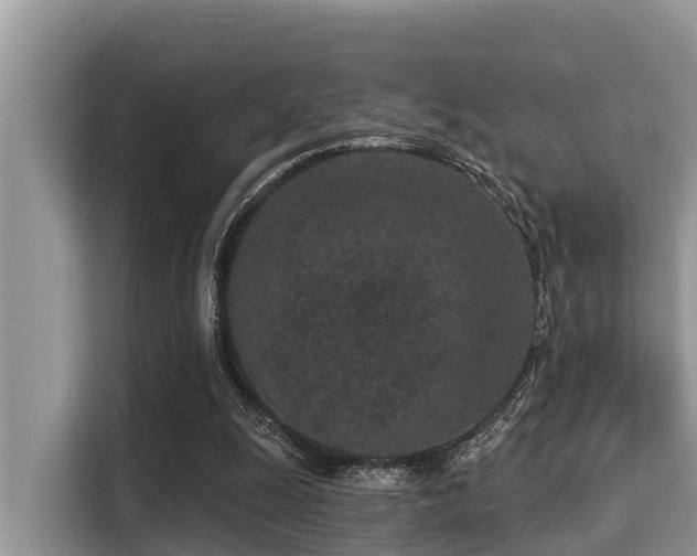 X0000115290247200911090958